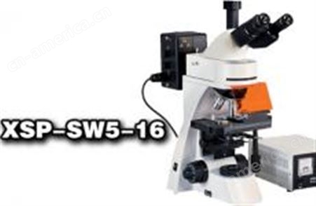XSP-SW-16FITC专用荧光显微镜XSP-SW-16