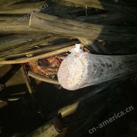 珠江三角洲废旧金属回收热线 废铜 废铝 废铁长期回收