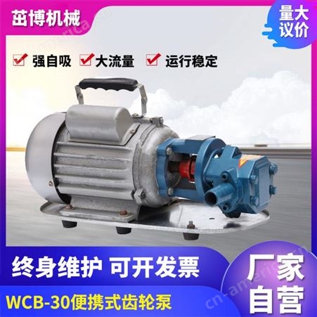 WCB-100油冷机泵-液压油泵-榨油机泵-全自动离心分离机渣油泵