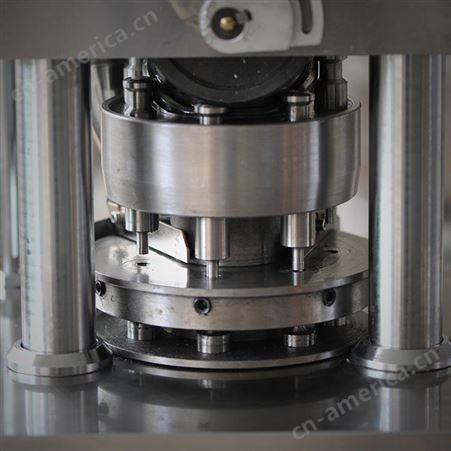 成都粉末压片机 不锈钢旋转式压片机 雷迈机械 技术保证