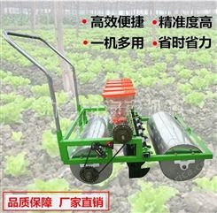 汽油自走式蔬菜播种机  农用多功能蔬菜精播机 10行种子精播机