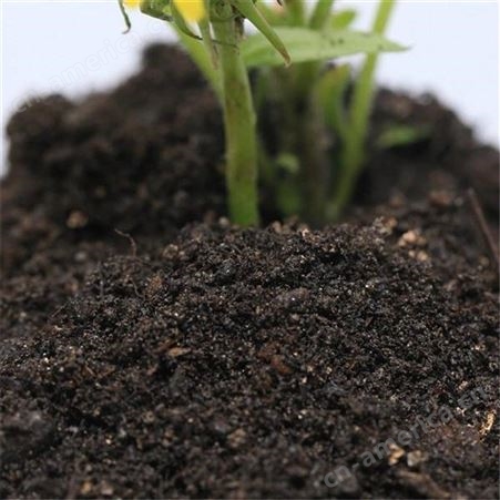 草木灰 有机肥 改善土壤天然钾肥有机肥料批发