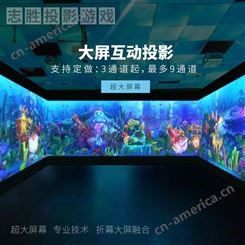广州厂家 互动投影设备 投影游戏机