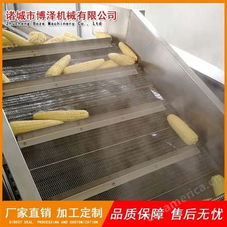 博泽销售玉米漂烫机 全自动甜玉米蒸煮机 电加热型糯玉米漂烫机 速冻玉米加工设备