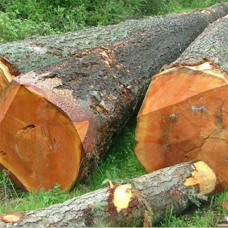 木方厂家 加工3米花旗松建筑方木支持定制