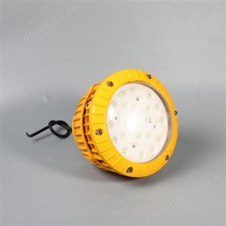 BZD118圆形吊杆式LED防爆灯60W 厂用LED隔爆灯IICT6