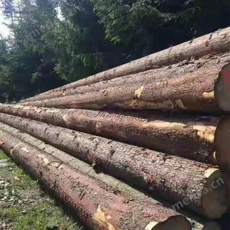 呈果木业铁杉建筑方木 供应杂木板垫木硬杂木 建筑工程木方