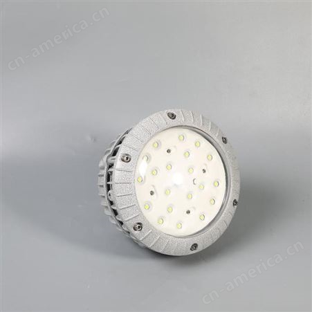 BZD118圆形吊杆式LED防爆灯60W 厂用LED隔爆灯IICT6
