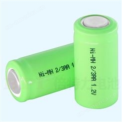 电动剃须刀镍氢电池29AA600P*2高倍率可充电电池,低内阻,大电流,小体积