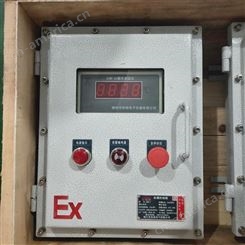 依客思 BXK防爆温度显示仪表箱 冷库防爆仪表控制箱非标定做