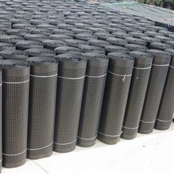 襄樊德州厂家生产_凹凸型排水板_塑料排水板1.6cm_2cm绿化排水板