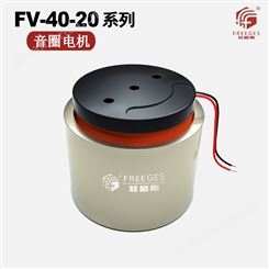 FV-40-20微型音圈电机 直驱模组电机