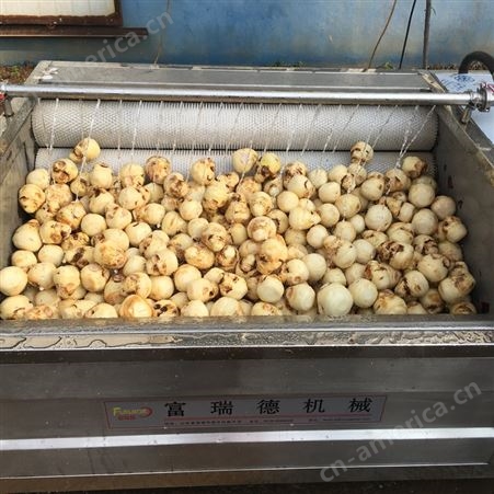 现货供应蔬菜清洗机 富瑞德800型果蔬清洗机  土豆清洗机
