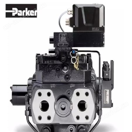 PARKER金杯泵P30S8L1B9A4B001C0M281651