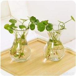 T 风信子玻璃瓶 透明水培容器水仙花瓶玻璃水培插花植物花瓶批发
