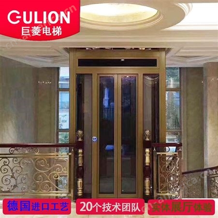 320公斤无机房别墅家用电梯 上海小型电梯厂家定制Gulion/巨菱