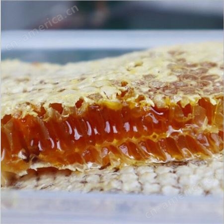 羌人羌味 农家自产 百花土蜂蜜 深山蜂巢蜜 成熟500g 百花蜜