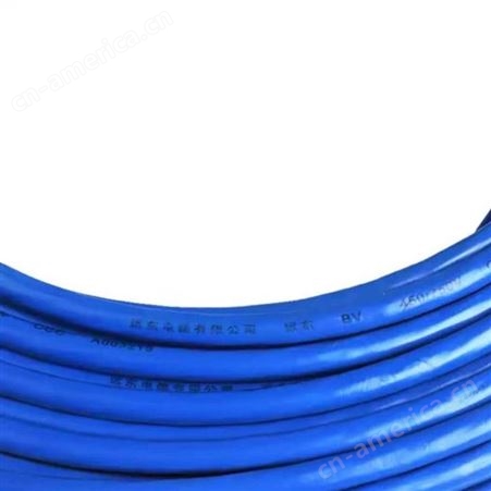 远东电缆 家装布电线单芯单股低烟无卤阻燃铜芯电线WDZB-BYJ(F)1*2.5