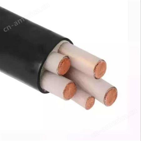  弘泰线缆有限公司 一枝秀 铜芯电缆低压电缆阻燃电缆YJV5*10
