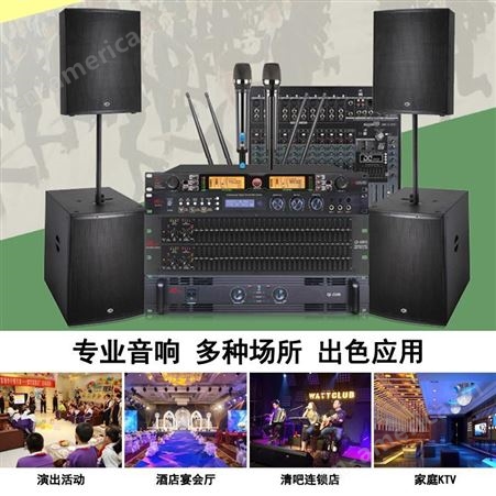 帝琪小型会议室音响系统方案多媒体扩声系统设备数字无线会议单元DI-3881