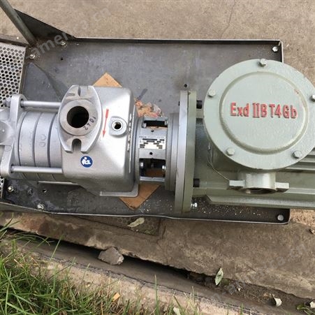 离心泵 溶气泵 染料厂污水处理用 德国进口 埃杜尔 EDUR LBU603C160L