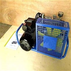 恒煤 厂家供应 呼吸器充气泵 SVGC100/MCH 压空气压缩机