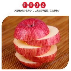 产地红富士 早熟苹果糖分高 苹果批发便宜 批发零售找裕顺