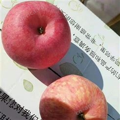 纸袋红富士价格 苹果新鲜水分多 苹果批发便宜 裕顺个大果正