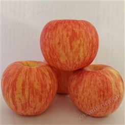 新鲜苹果价格 现货红富士发货快 烟台红富士苹果种植 裕顺香甜可口欢迎采购