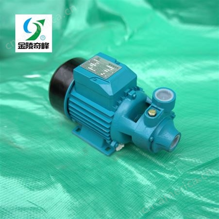 耐腐挤出设备泵 旋涡泵-江苏奇峰 厂家销售