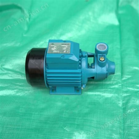 旋涡水泵 橡塑挤出设备用泵 微型旋涡泵