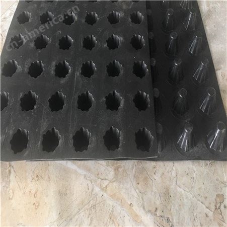 塑料排水板 速排龙 凹凸排水板  凹凸型排水板价格 厂家