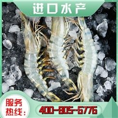 嘉汇荣 进口冷冻水产批发 进口海鱼海鲜水产 价格实惠
