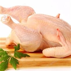北京鸡肉调理品    鸡肉食品加工   肉鸡加工厂家    信生牧业     质量保证