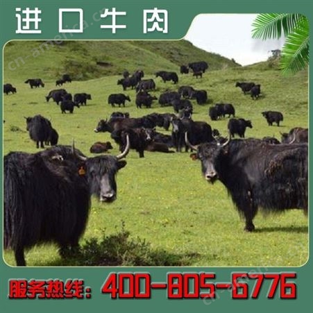 嘉汇荣 新西兰牛霖 澳洲牛肉 现货出售