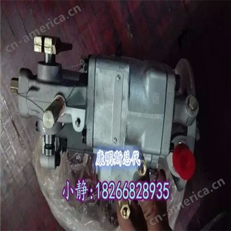 重庆康明斯山推220NTA855燃油泵4951501 PT泵