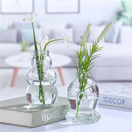 创意玻璃花瓶简约家居装饰鲜花插花瓶桌面干花摆件绿萝水培植物瓶