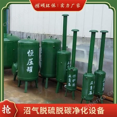 沼气脱硫罐 废气处理设备 定制不锈钢沼气提纯净化塔 脱硫效率快