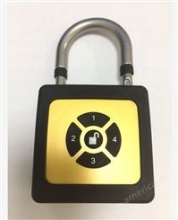 智能巡检锁 电网智能锁 电网机柜无源锁