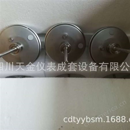 双金属温度计 不锈钢温度计316材质 WSS 北京布莱迪仪表BLD