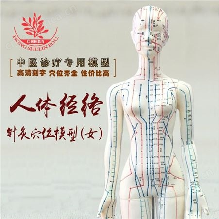 店长白色经络推拿与针灸穴位人体模型45cm超清晰女性针灸模型