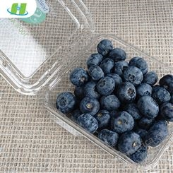 蓝莓盒一次性透明水果盒加厚PET吸塑草莓盒塑料水果包装盒子125g