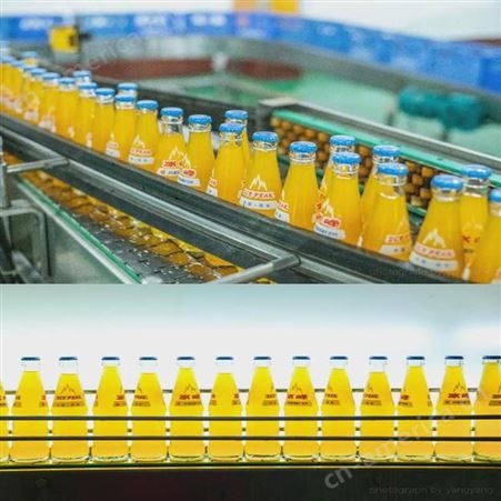 骏科 玻璃瓶碳酸饮料生产线 玻璃瓶汽水生产工艺流程 汽水生产设备