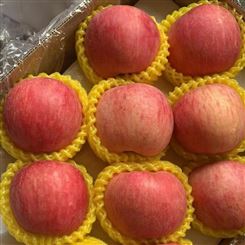 钦州市苹果 红富士苹果 直销新鲜水果 宏远果蔬